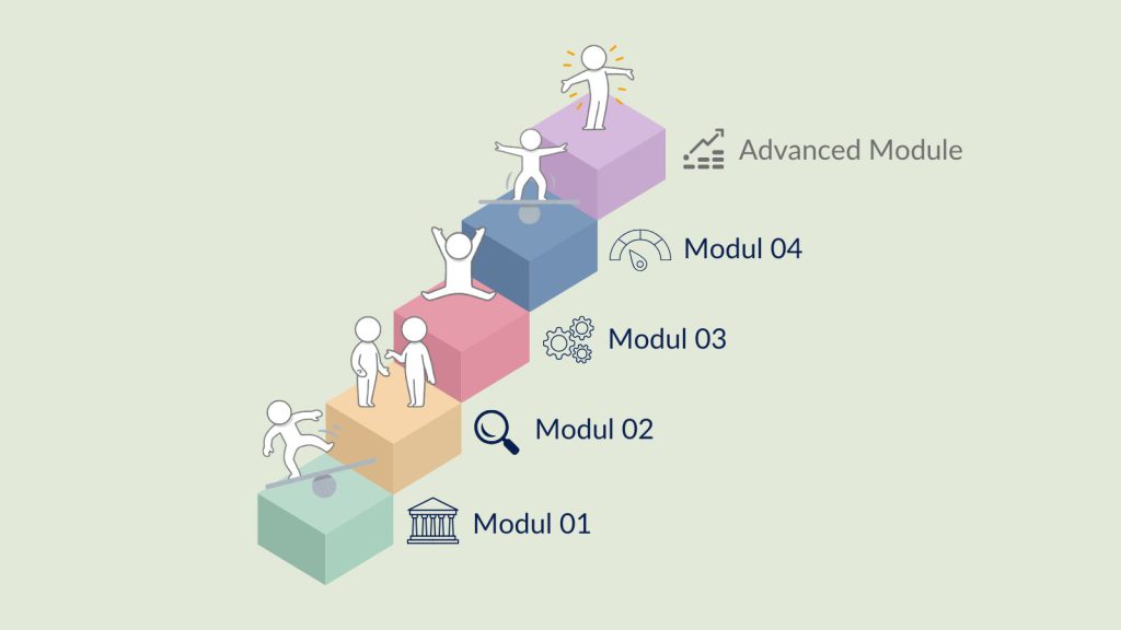 Stufenmodell der PCM-Entwicklungsreise